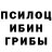Галлюциногенные грибы Psilocybe Mr Humble