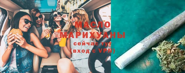 сатива Беломорск
